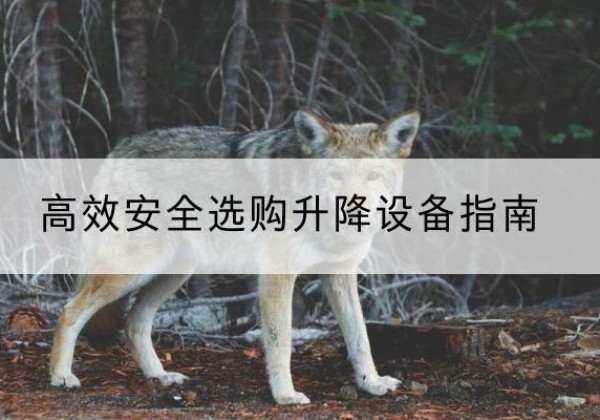 达坂城升降货梯厂家推荐-*安全选购升降设备指南