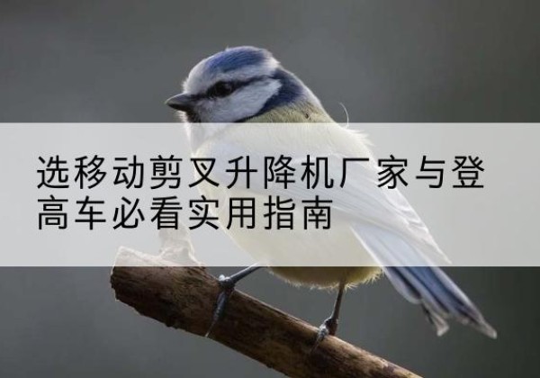 达坂城电动升降机厂家-选移动剪叉升降机厂家与登高车必看实用指南